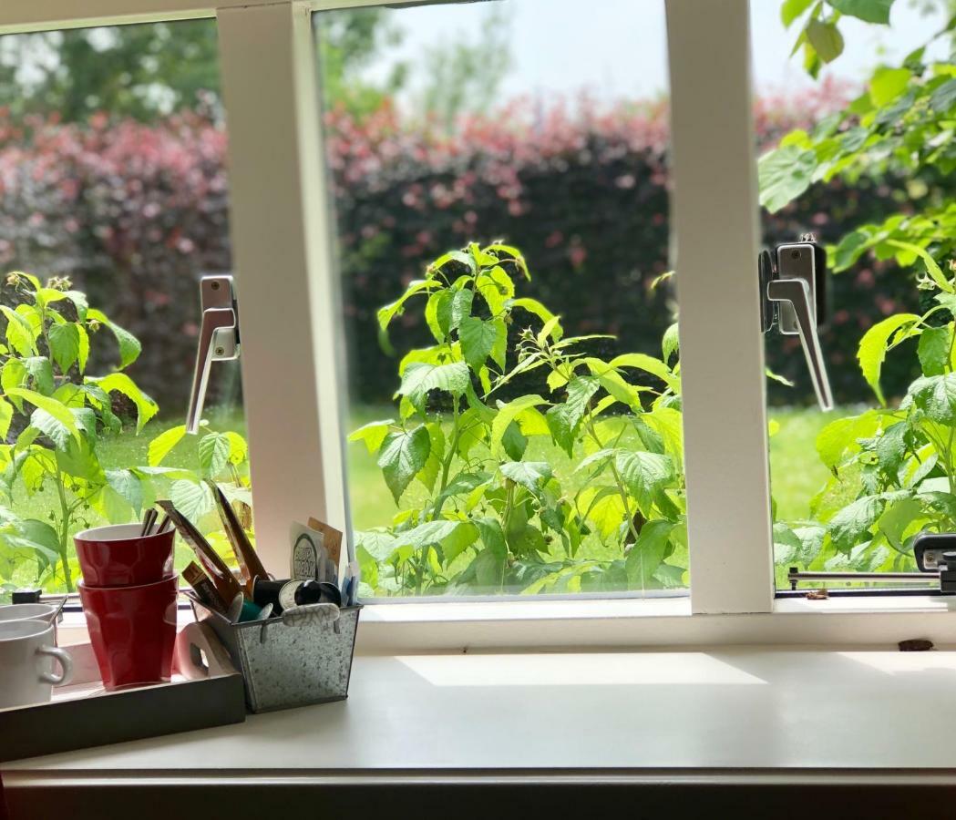 Bed And Breakfast Lutje Lollum 프라네커 외부 사진